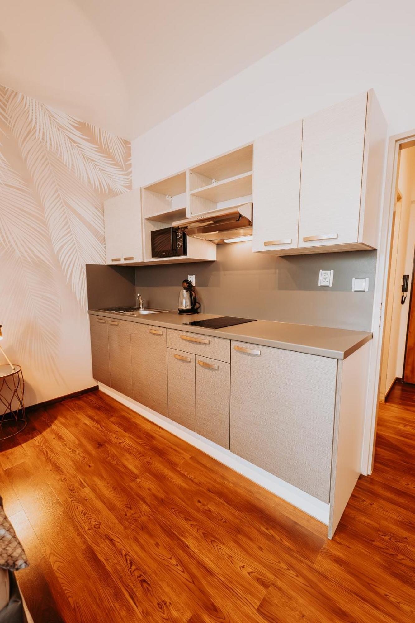 Citybeat Apartments, 400m From The Square * פלזן